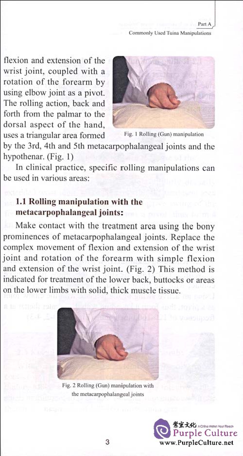 Sample pages of Illustrations of Tuina Therapy (English Edition) (ISBN:9787532399567,7532399567)
